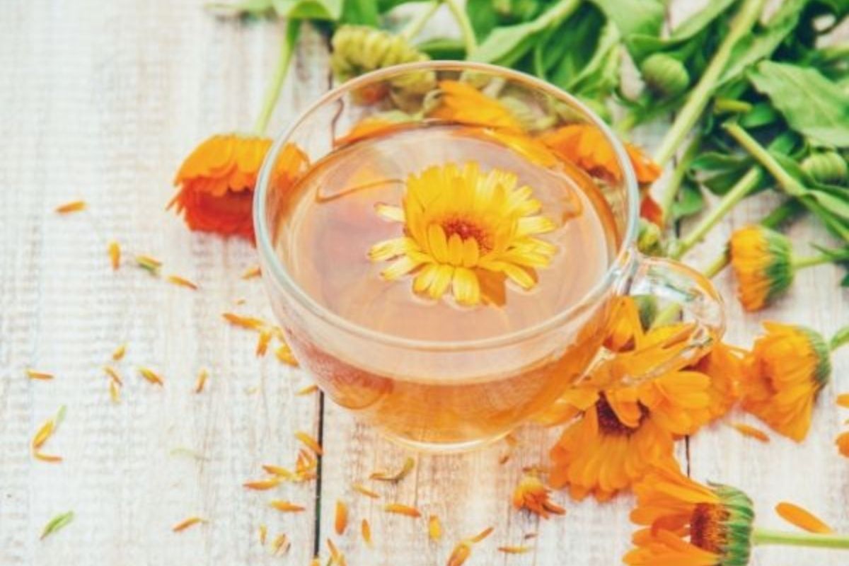 Aynısefa Çayı (Calendula): Faydaları, Kullanımı ve Yan Etkileri