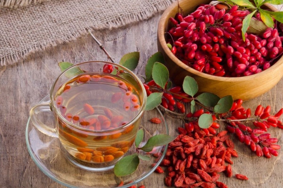 Berberis Çayının (Kadın Tuzluğu) Faydaları, Yan Etkileri ve Kullanım Önerileri