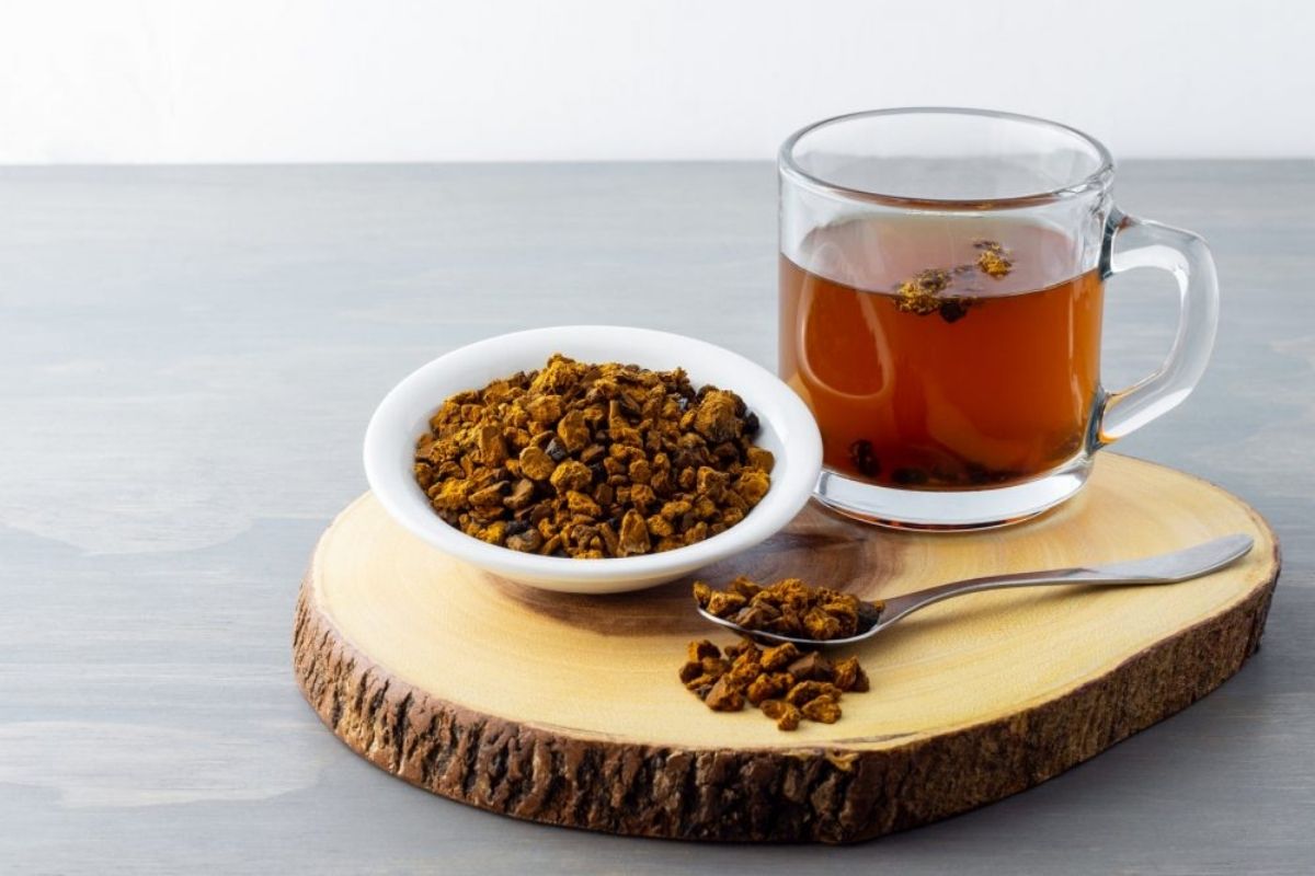 Chaga Mantarı Çayının Faydaları, Hazırlanışı ve Kullanım Rehberi