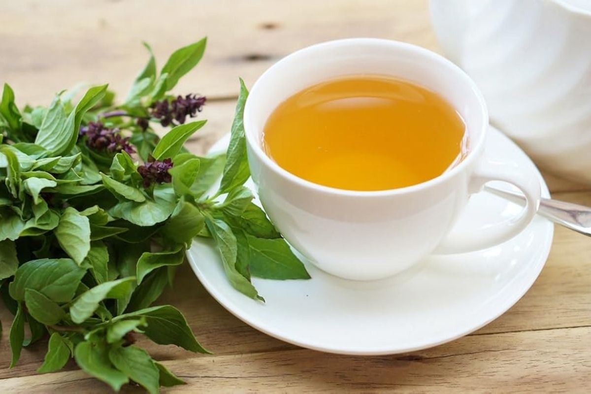 Tulsi (Kutsal Fesleğen) Çayının Faydaları, Kullanımı ve Dikkat Edilmesi Gerekenler